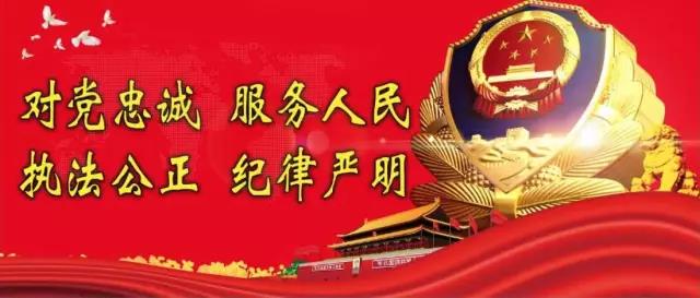 益阳市公安机关800余名党员集中开展主题党日活动